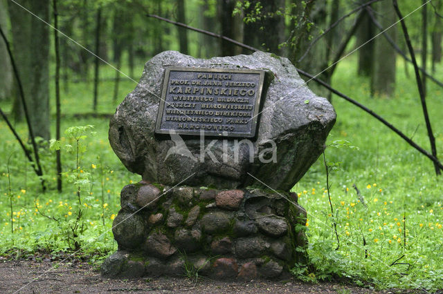 Bialowieza National Park