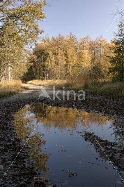 Landgoed de Slotplaats