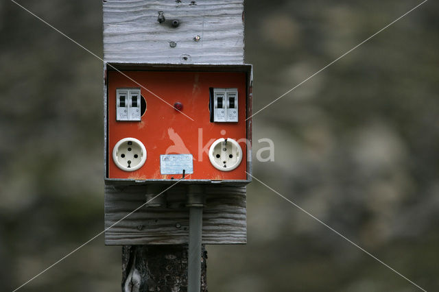 Longyearbyen