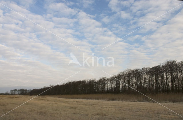 Nationaal Park De Alde Feanen