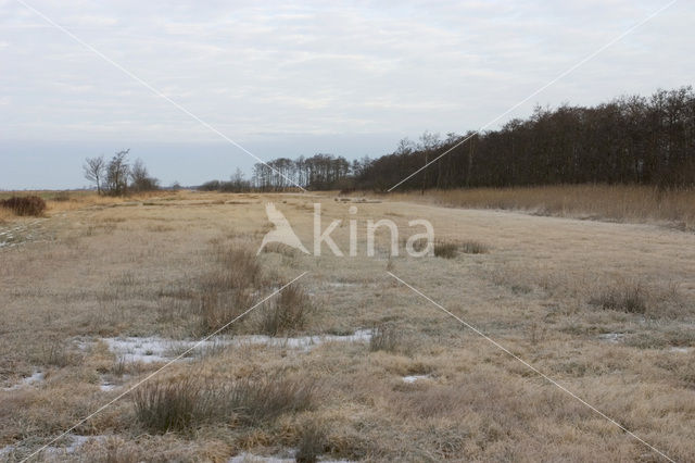 Nationaal Park De Alde Feanen