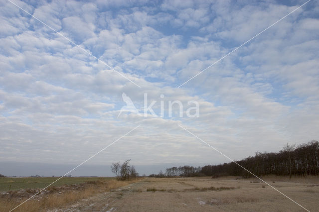 Nationaal Park De Alde Feanen