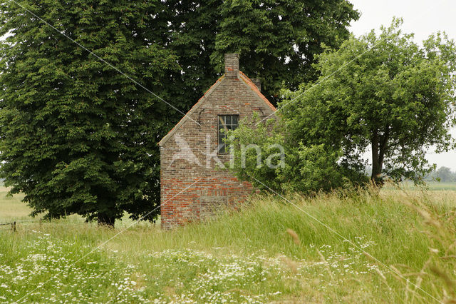 Nationaal Park de Biesbosch