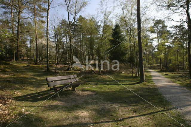 Nationaal Park Drents-Friese Wold