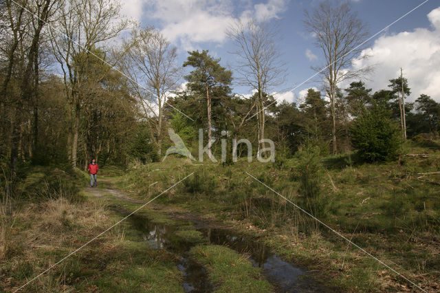 Nationaal Park Drents-Friese Wold