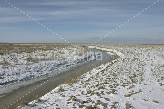 Noord Friesland Buitendijks