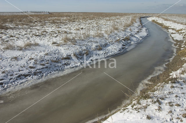 Noord Friesland Buitendijks