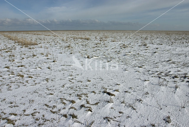 Noord Friesland Buitendijks