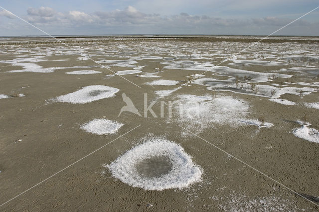 Noord Friesland Buitendijks