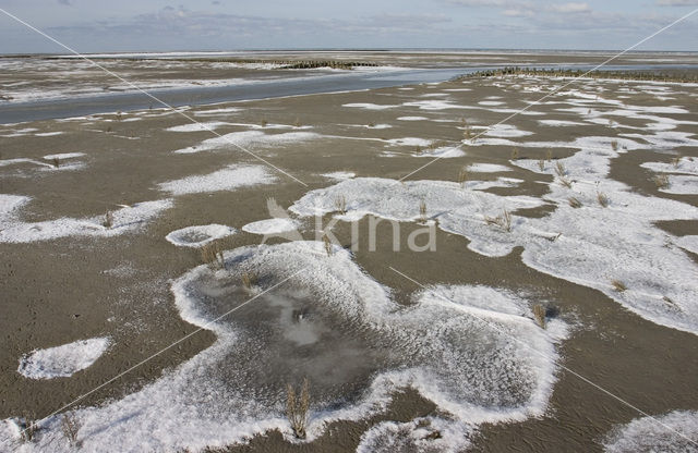 Noord Friesland Buitendijks