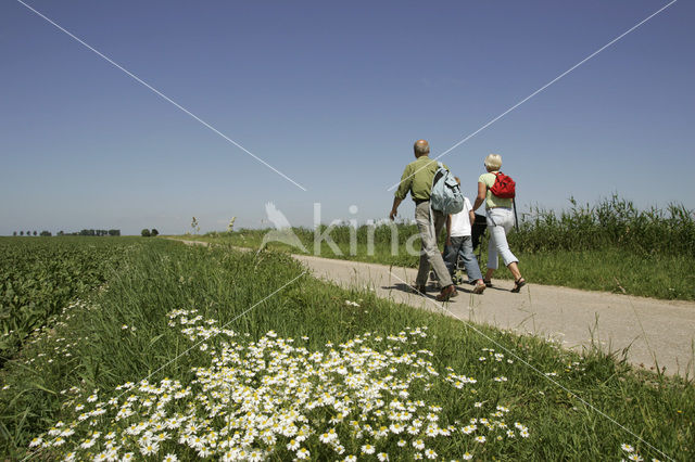 Tiengemeten