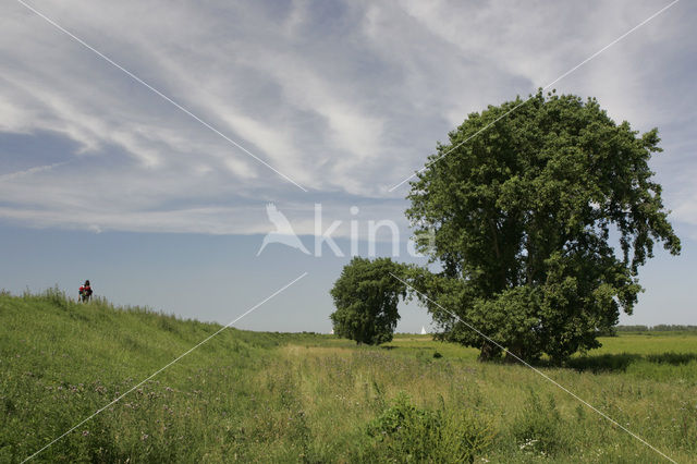 Tiengemeten