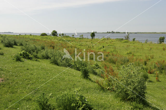 Tiengemeten