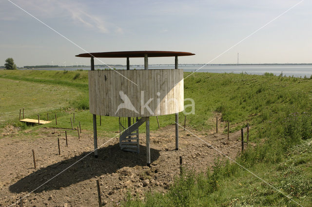 Tiengemeten