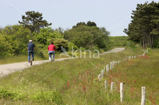 Vlieland