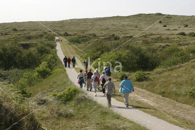 Vlieland