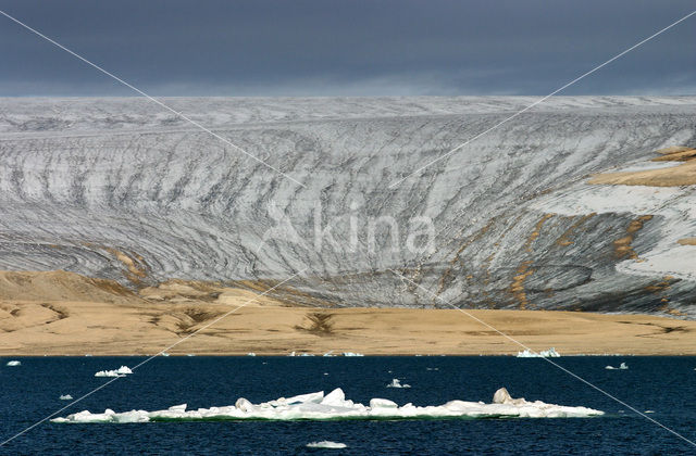 Wahlenbergfjord