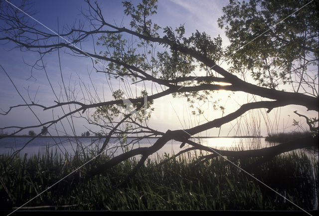 EUCC Odra Delta Nature Park