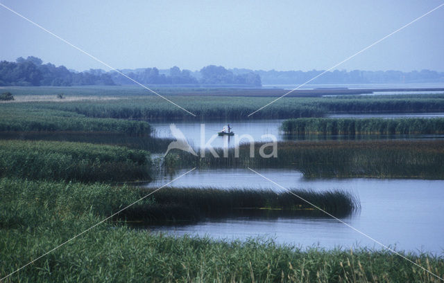 EUCC Odra Delta Nature Park