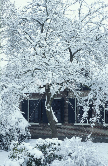 Giethoorn