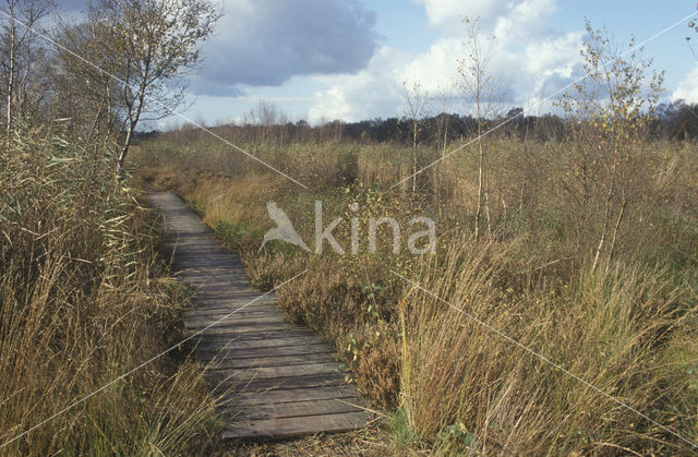 Haaksbergerveen