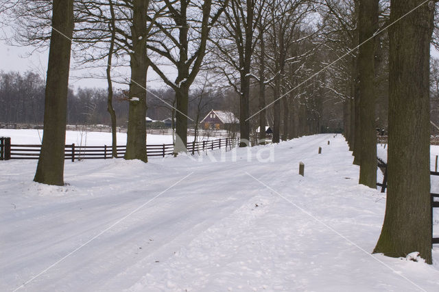 Korenburgerveen