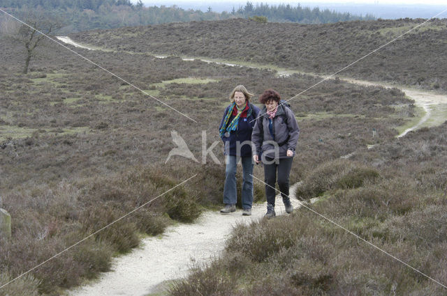 Lemelerberg en Archemerberg