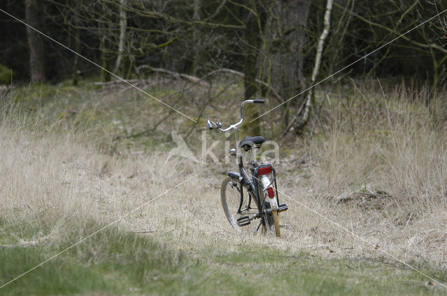 Lemelerberg en Archemerberg