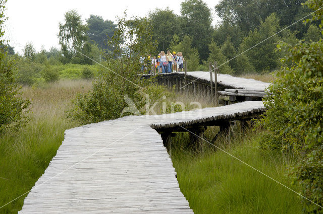 Nationaal Park de Groote Peel