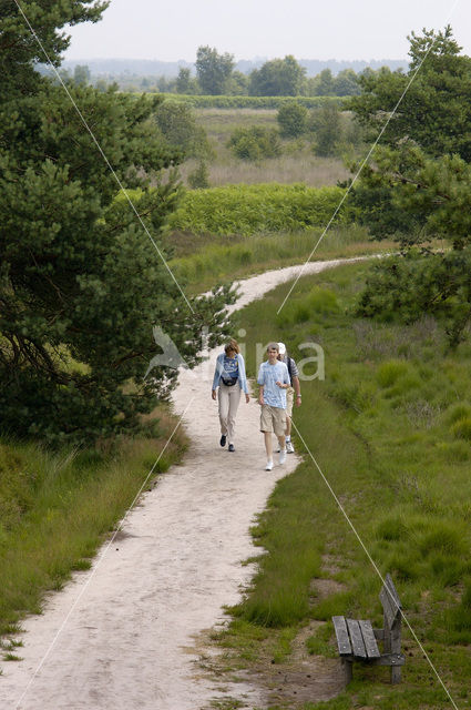 Nationaal Park de Groote Peel