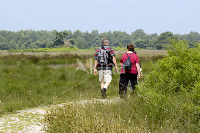 Nationaal Park de Groote Peel