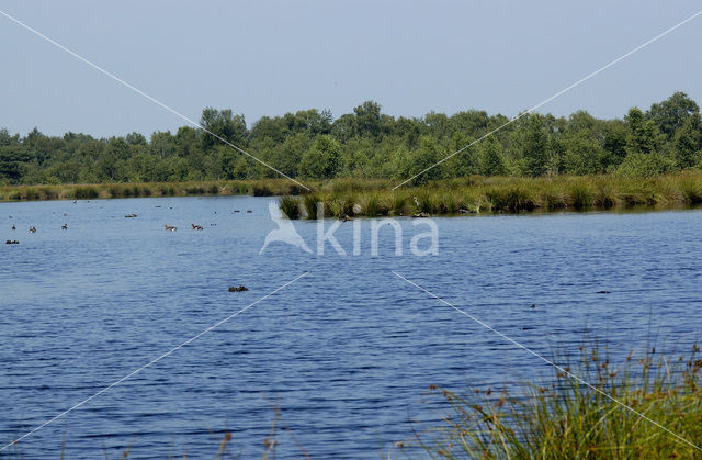 Nationaal Park de Groote Peel