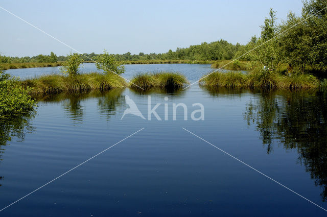 Nationaal Park de Groote Peel