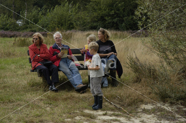 Nationaal Park Dwingelderveld