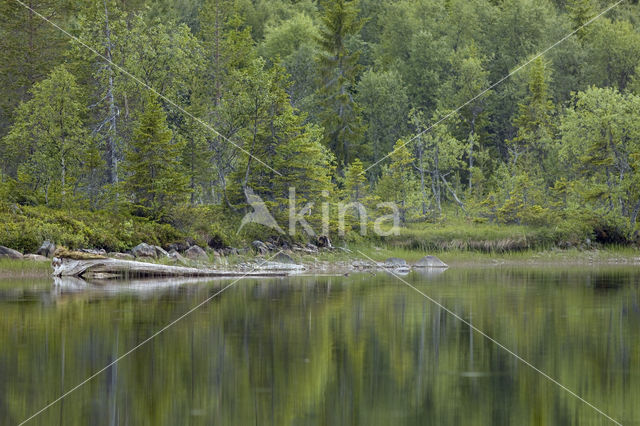 Nationaal Park Fulufjället