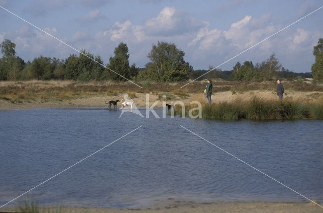 Nationaal Park Loonse en Drunense Duinen