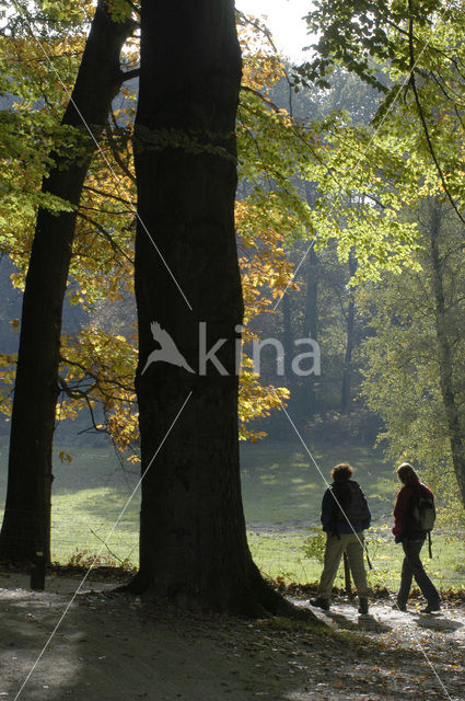 Nationaal Park Veluwezoom