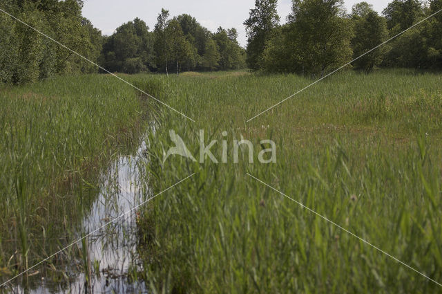 Nationaal Park Weerribben-Wieden