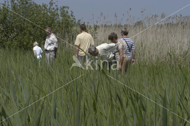 Nationaal Park Weerribben-Wieden