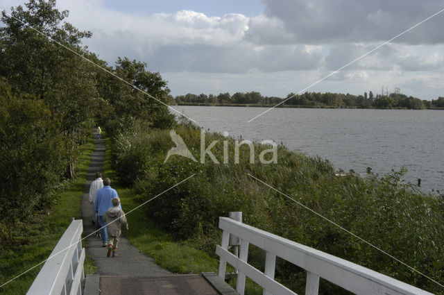 Nieuwkoopse Plassen