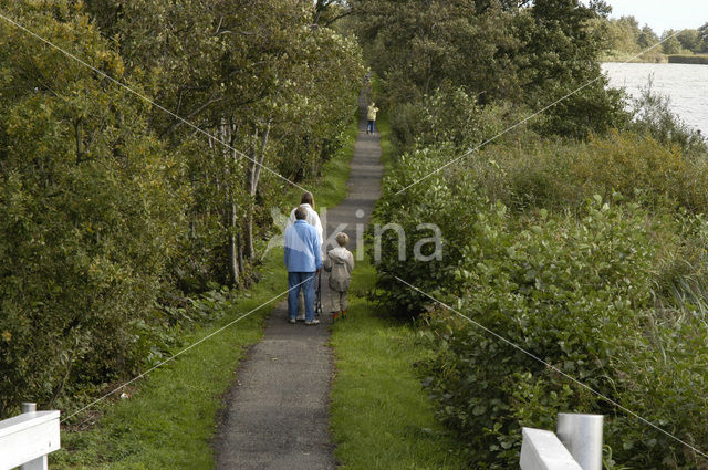 Nieuwkoopse Plassen