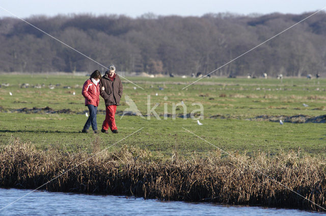 Tienhoven