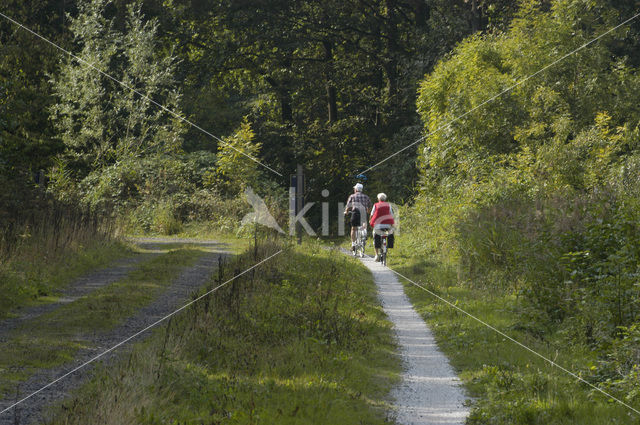 Voorsterbos