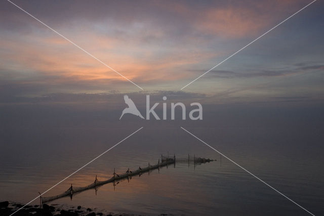 Waddenzee