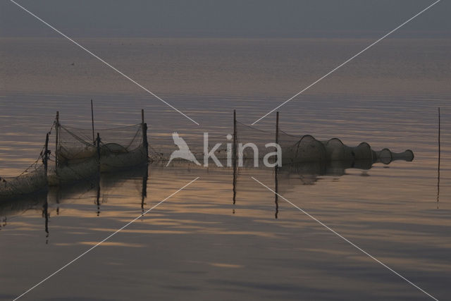 Waddenzee