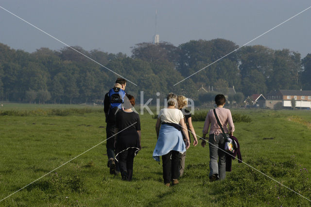 Westbroekse Zodden