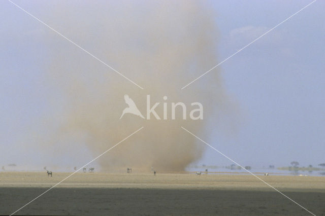 Amboseli National Park