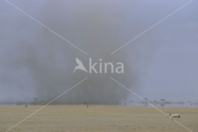 Amboseli National Park