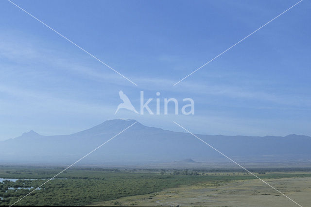 Amboseli National Park