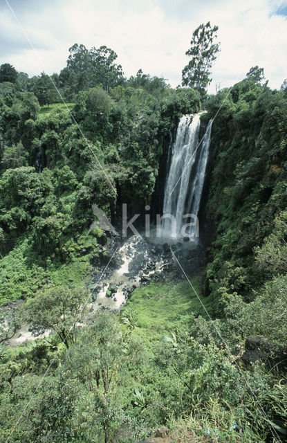 Ewaso Nyiro River